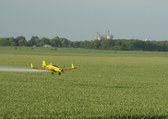 Enlarge photo 25