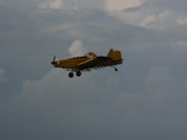 Enlarge photo 30
