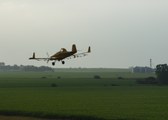 Enlarge photo 31