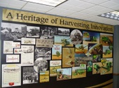 Enlarge photo 47