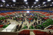 Enlarge photo 121