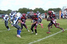 Enlarge photo 45