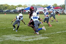 Enlarge photo 48