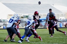 Enlarge photo 53