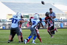 Enlarge photo 54