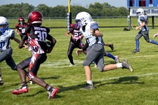 Enlarge photo 61