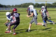 Enlarge photo 63