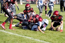 Enlarge photo 76