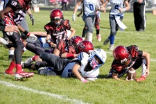 Enlarge photo 77