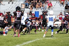 Enlarge photo 78