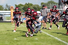 Enlarge photo 87
