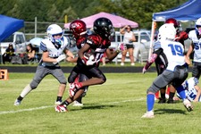 Enlarge photo 95