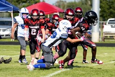 Enlarge photo 97