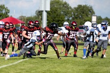 Enlarge photo 98