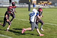 Enlarge photo 106