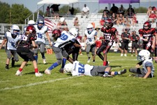 Enlarge photo 115