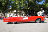 Enlarge photo 71