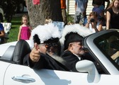 Enlarge photo 52