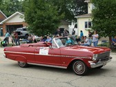 Enlarge photo 217