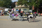 Enlarge photo 347