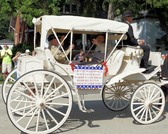Enlarge photo 595
