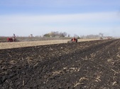 Enlarge photo 171