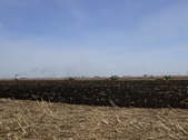 Enlarge photo 59