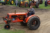 Enlarge photo 80