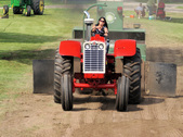 Enlarge photo 75