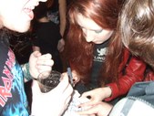 Enlarge photo 156