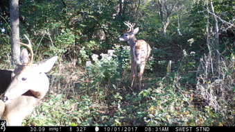 Enlarge photo 42