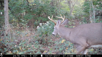 Enlarge photo 37