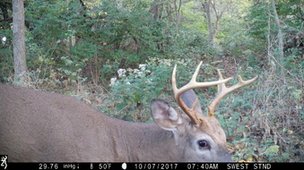 Enlarge photo 36