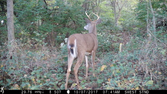 Enlarge photo 38
