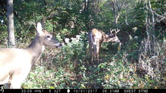 Enlarge photo 41