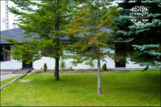 Enlarge photo 2