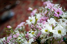 Enlarge photo 46