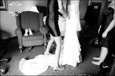 Enlarge photo 90