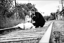 Enlarge photo 226