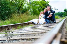 Enlarge photo 229