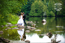 Enlarge photo 286