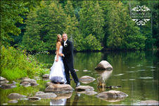 Enlarge photo 289