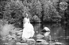 Enlarge photo 290