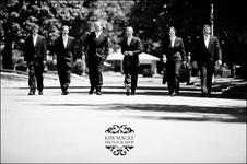 Enlarge photo 65