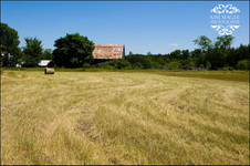 Enlarge photo 81