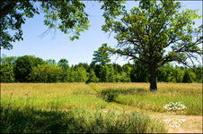 Enlarge photo 87