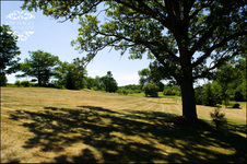 Enlarge photo 91