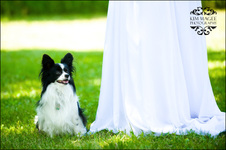 Enlarge photo 138