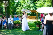 Enlarge photo 175