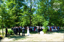Enlarge photo 178